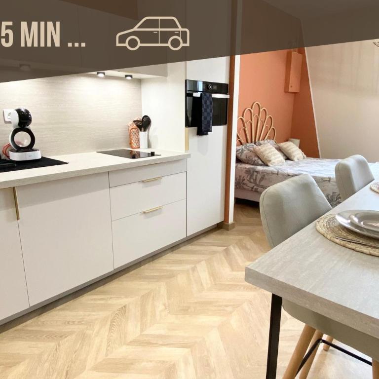Studio Queen - Appartement 1 Chambre - 1