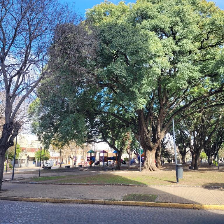 Luminoso Monoambiente Zona Universitaria 5to piso - Apartamento - 21