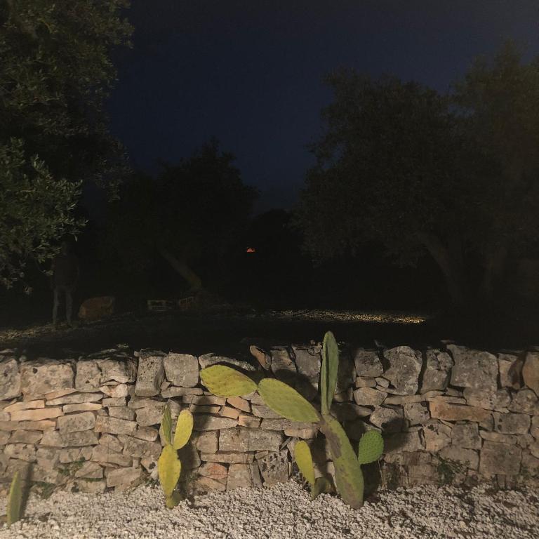 DIMORA DONNA CARMELA - One-Bedroom House - 17