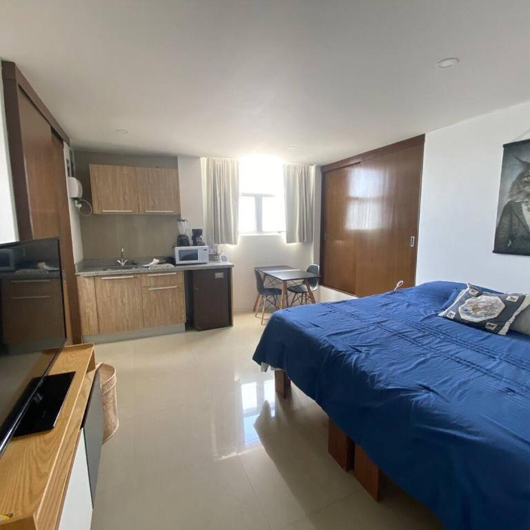 cool & comfy suite with GYM. Polanco - One-Bedroom Apartment - 1