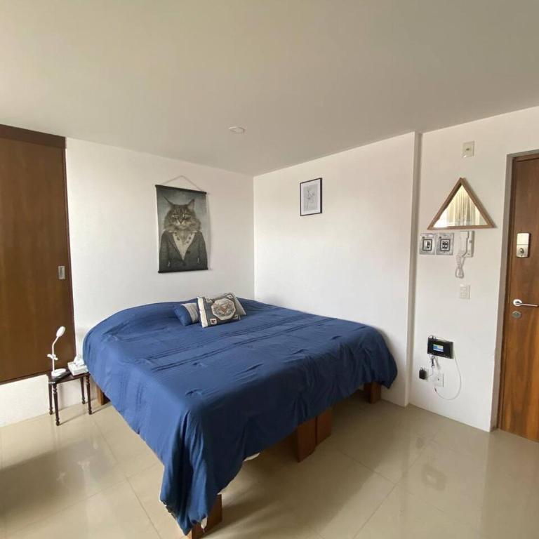 cool & comfy suite with GYM. Polanco - One-Bedroom Apartment - 26