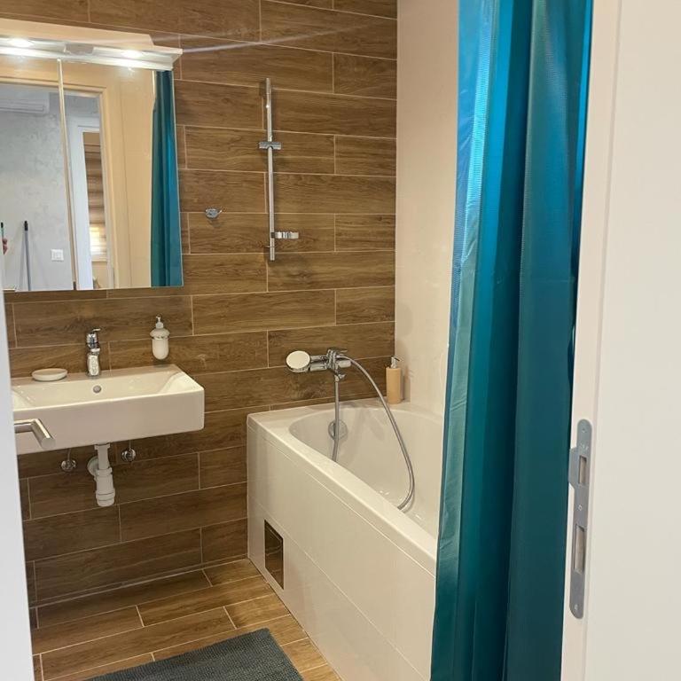 luxury Pool Apartment Jagodina - Apartman sa 1 Spavaćom Sobom - 8