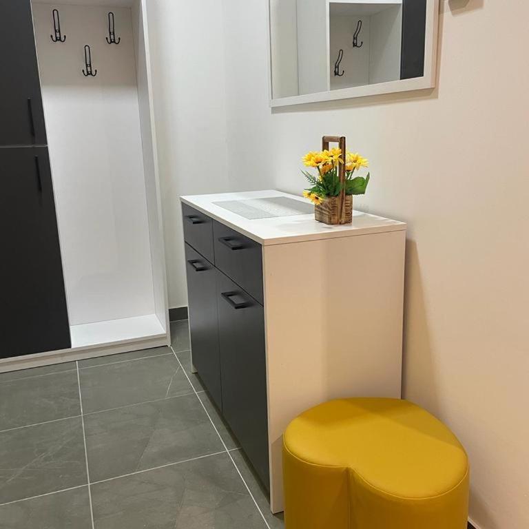 luxury Pool Apartment Jagodina - Apartman sa 1 Spavaćom Sobom - 2