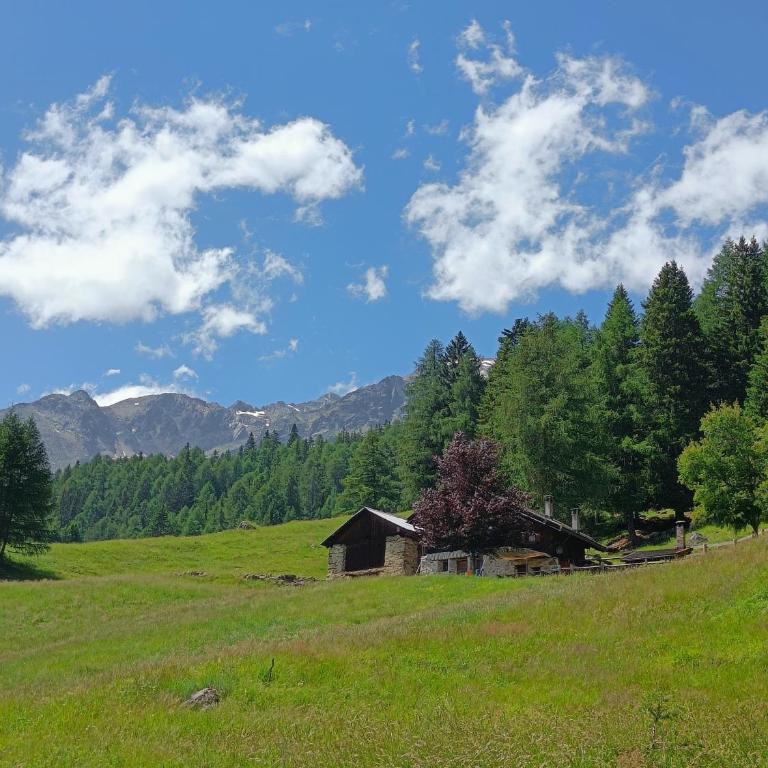 Baita Vioz - Chalet con 2 Camere da Letto - 12