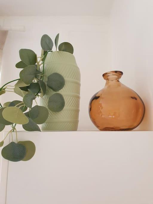 Studio "Côté Jardin" Mutualiste Grenoble - Studio Apartment - 8