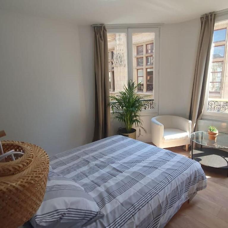 Palais de justice, hypercentre - Appartement 1 Chambre - 3
