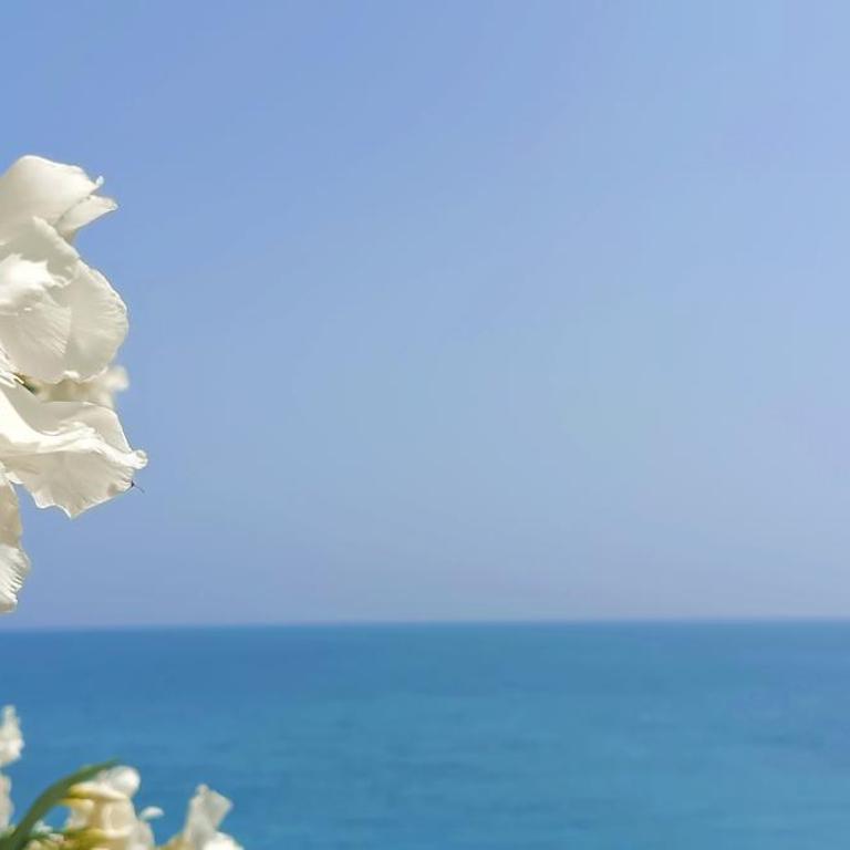 Apartamento Torre Alacant - Apartamento de 3 dormitorios - 38