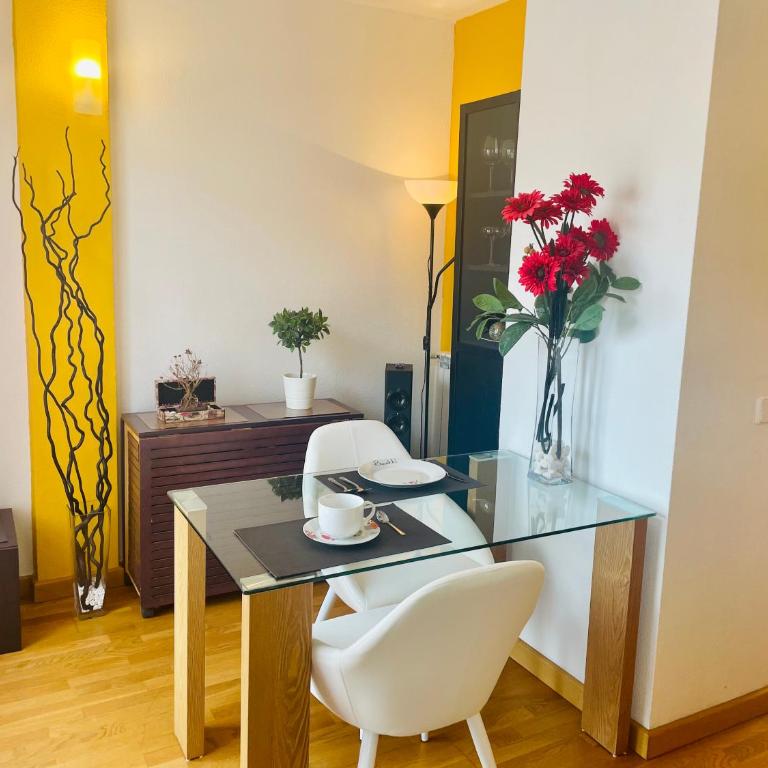 ATICO & TERRAZA a 6 minutos en metro de ATOCHA estacion central - Penthouse Apartment - 16