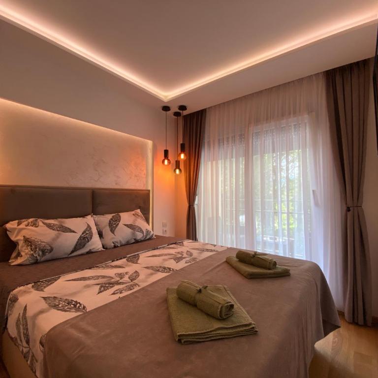 Soul Apartment Vrnjačka Banja - Apartman sa 1 Spavaćom Sobom - 3