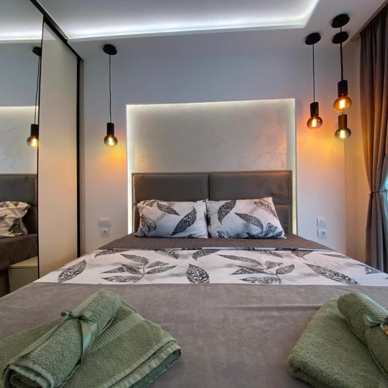 Soul Apartment Vrnjačka Banja - Apartman sa 1 Spavaćom Sobom - 4