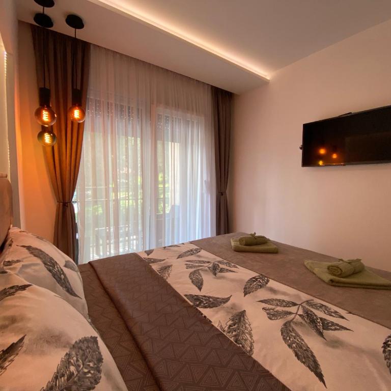 Soul Apartment Vrnjačka Banja - Apartman sa 1 Spavaćom Sobom - 5