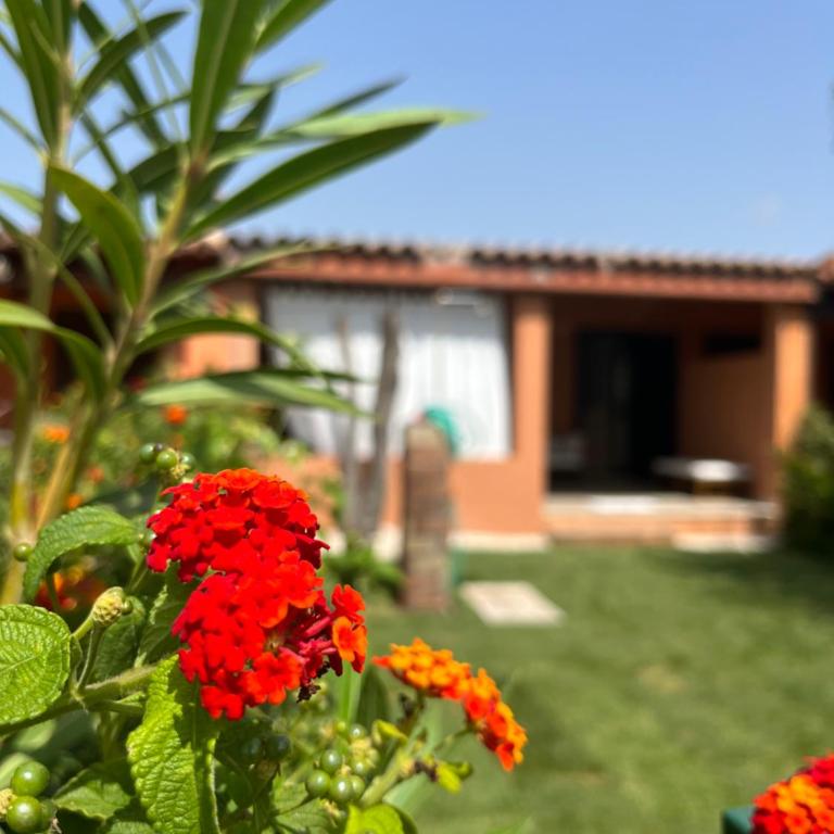 20 steps from the beach VILLINO STECU - Casa con 1 Camera da Letto - 34