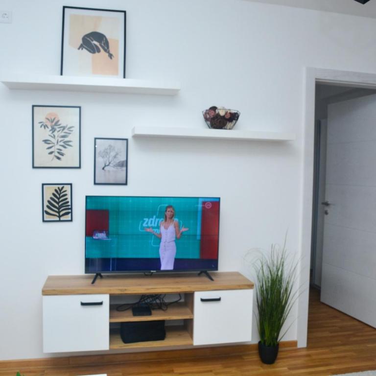 Apartman Dunjic - One-Bedroom Apartment - 9