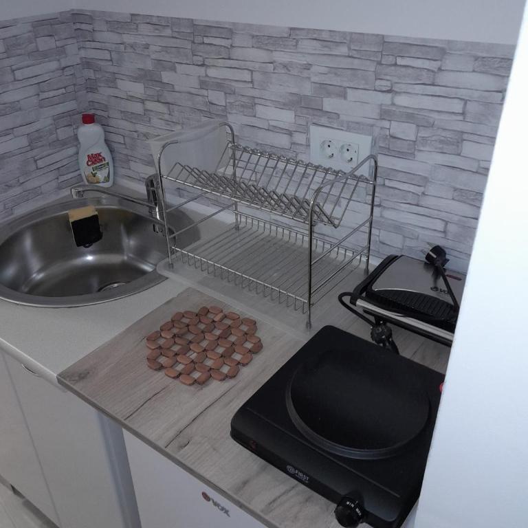 Apartman Tijana - Apartman sa 1 Spavaćom Sobom - 19