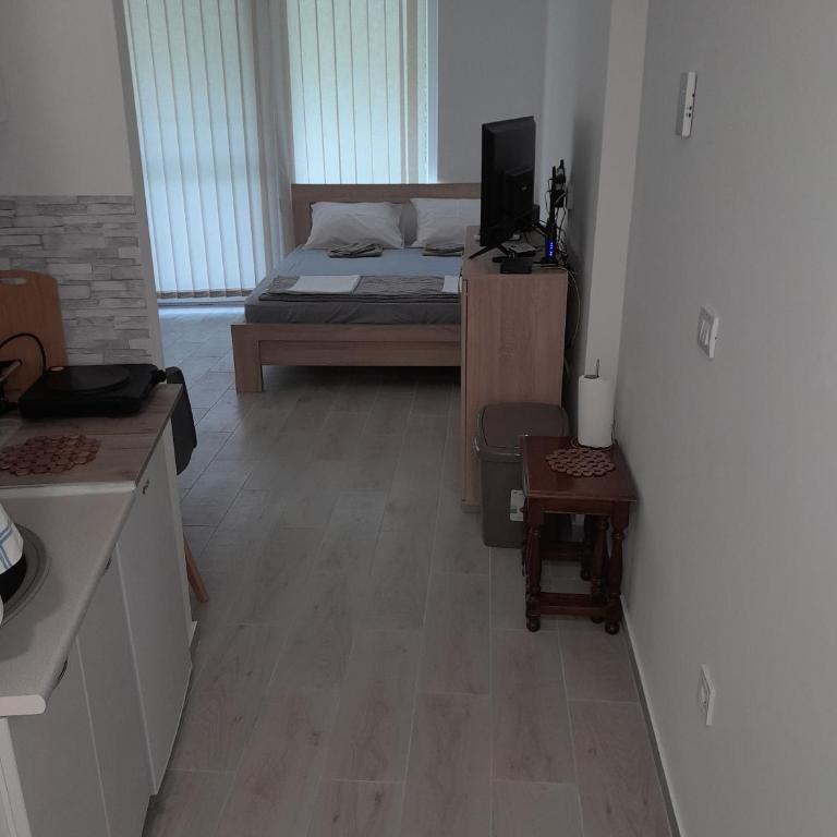Apartman Tijana - Apartman sa 1 Spavaćom Sobom - 13