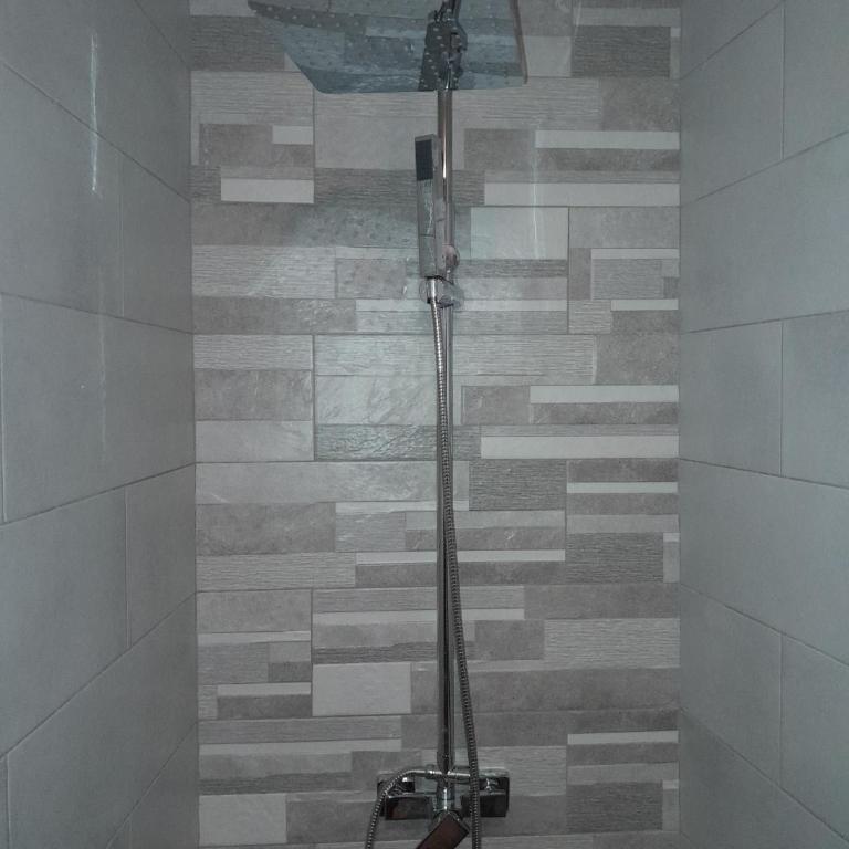Apartman Tijana - Apartman sa 1 Spavaćom Sobom - 21