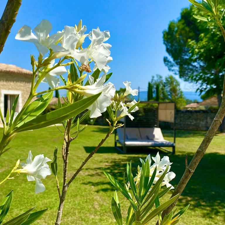 Mas Oréa Sous la glycine - Maison de Vacances - 25