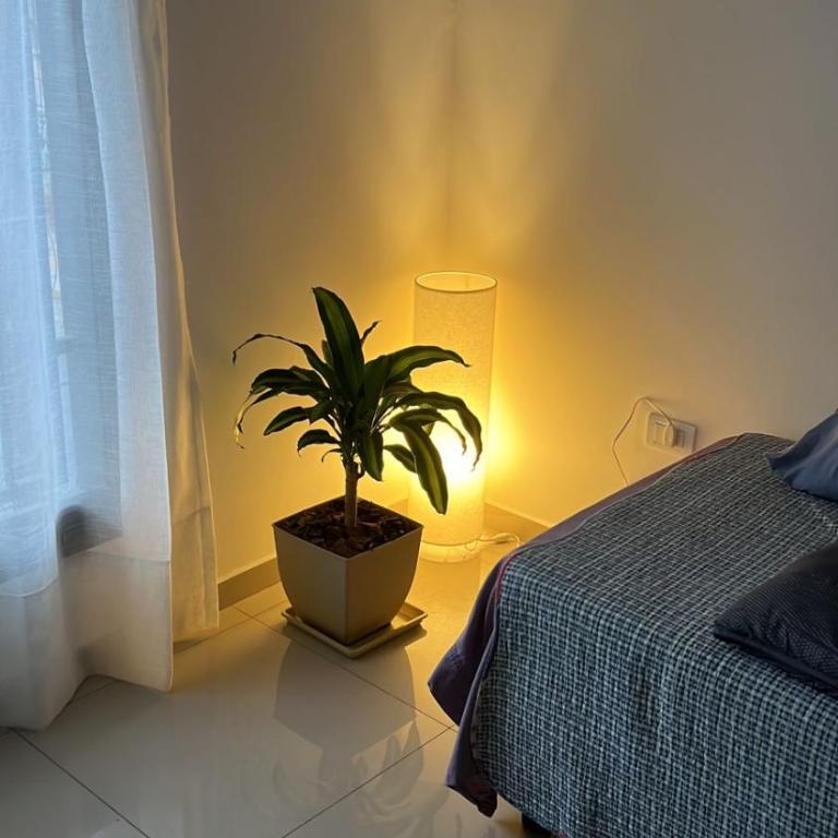 Departamento Marina - Apartamento de 1 dormitorio - 14