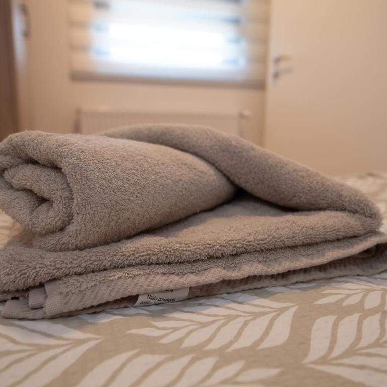 Petković apartmani 34 - Apartman sa 1 Spavaćom Sobom - 15