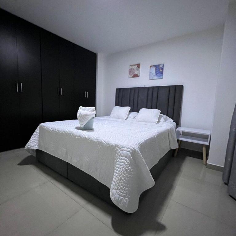 Hermosos Apartamentos con excelente ubicacion - Apartamento con balcón - 19