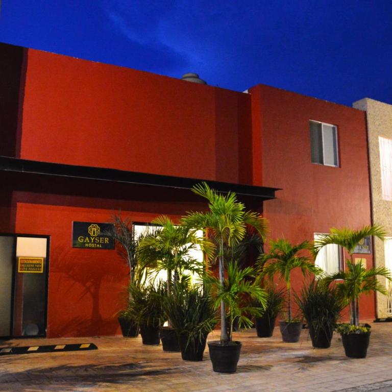 Gayser Apartamentos - Apartamento Superior - 1