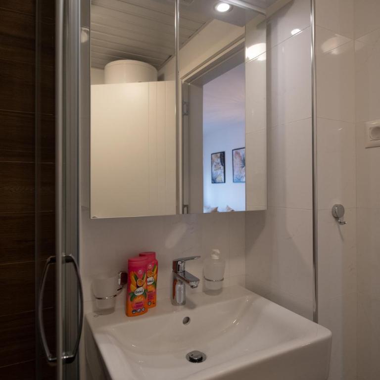Petković apartmani STUDIO32 - Apartman sa 1 Spavaćom Sobom - 23