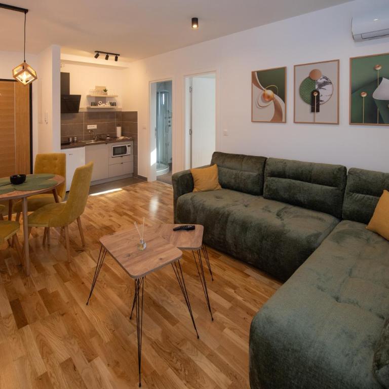 Petković apartmani 35 - Apartman sa 1 Spavaćom Sobom - 4