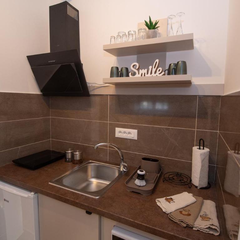 Petković apartmani 35 - Apartman sa 1 Spavaćom Sobom - 18