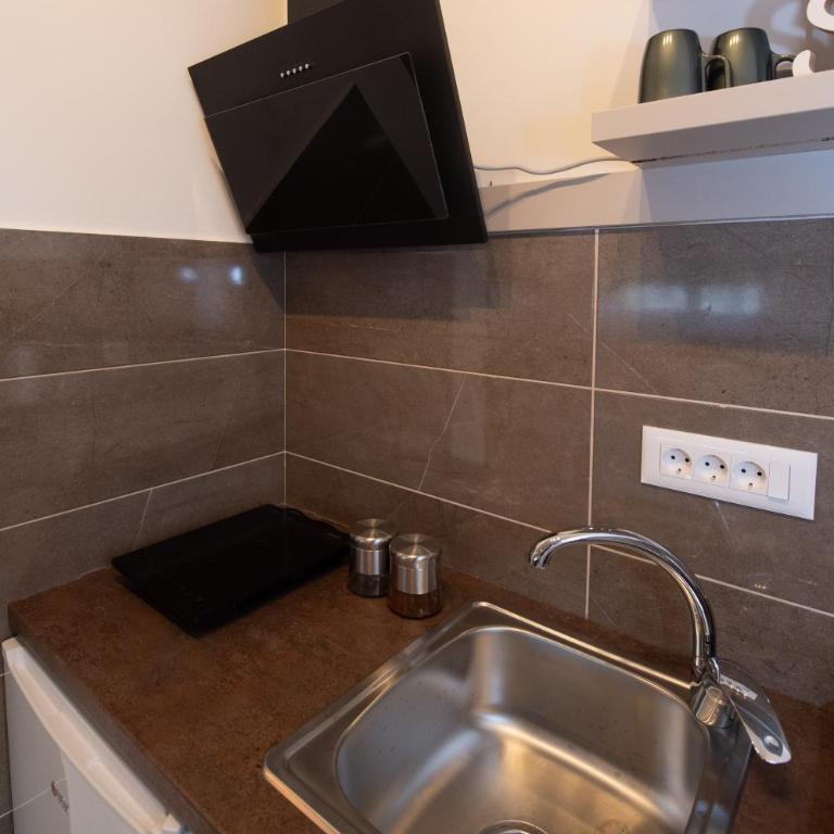 Petković apartmani 35 - Apartman sa 1 Spavaćom Sobom - 19
