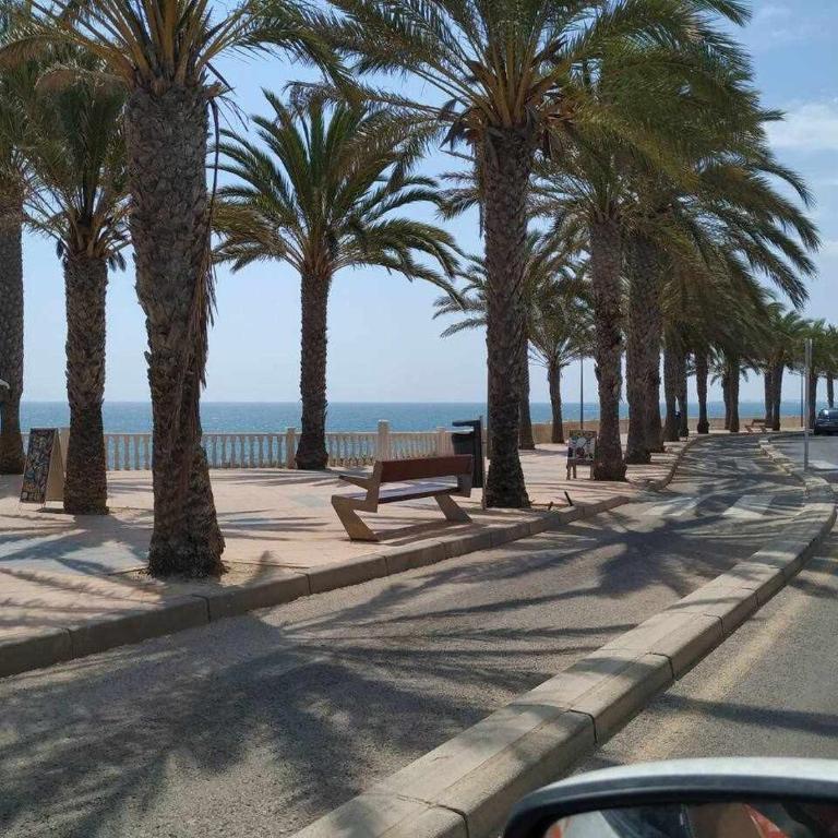 Hermoso estudio en Pilar de la Horadada! - Apartamento con vistas a la piscina - 26