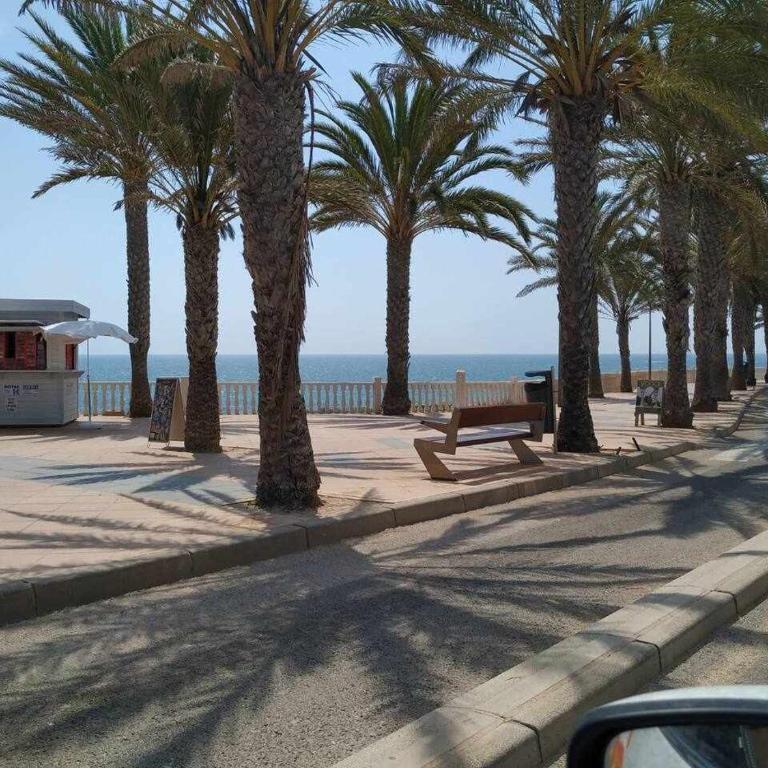 Hermoso estudio en Pilar de la Horadada! - Apartamento con vistas a la piscina - 27