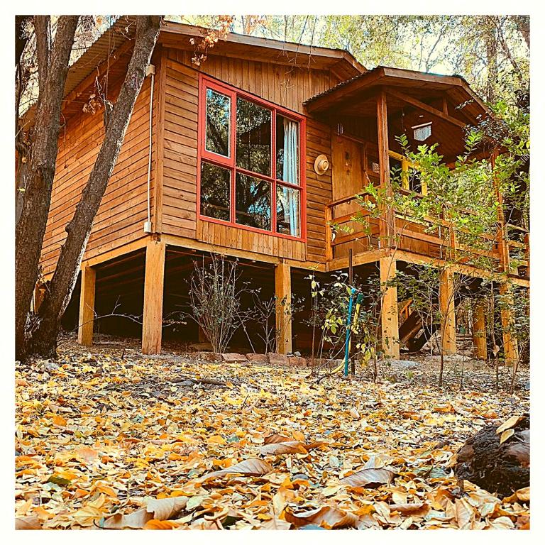 Cabañas Alegria Cajón del Maipo - Chalet - 23