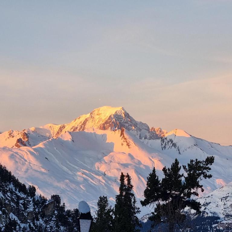 Arcs 1950 Appartement Luxe type chalet 5 à 7 personnes Vue imprenable sur le Montblanc skis aux pieds - Apartment mit Blick auf die Berge - 40
