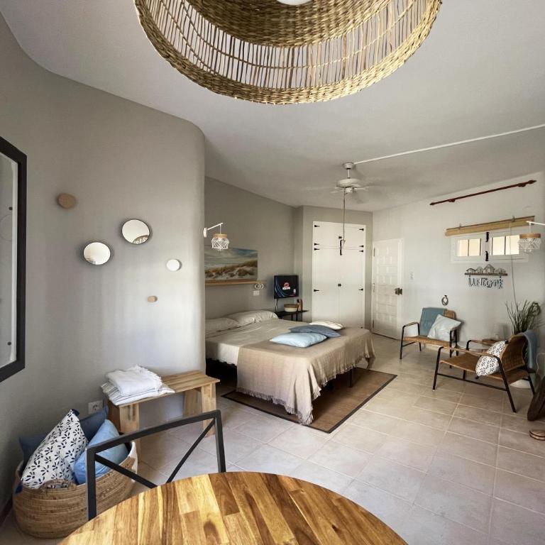 Estudio Andaluz - Apartamento - 7