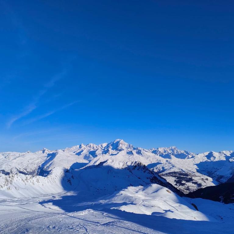 Arcs 1950 Appartement Luxe type chalet 5 à 7 personnes Vue imprenable sur le Montblanc skis aux pieds - Apartment mit Blick auf die Berge - 51