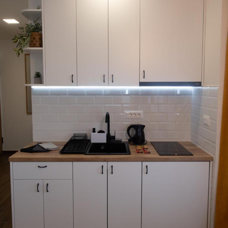 Lux Apartman Sunce - Apartman sa 1 Spavaćom Sobom - 13