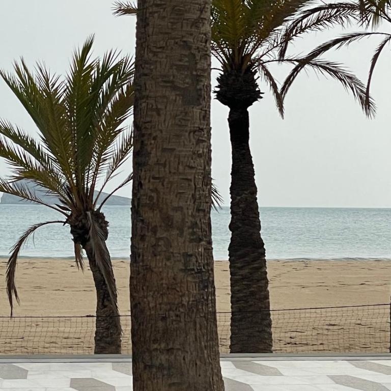 Casa Holiday Finestrat - 3 bedroom flat with common pool - Casa de 3 dormitorios - 50