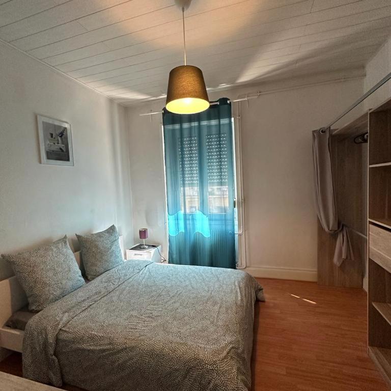 Le Cocon - 3 pièces Mulhouse Gare/Centre - Apartamento de 2 dormitorios - 14
