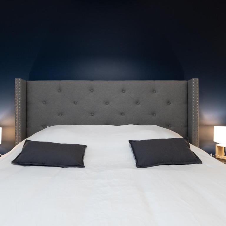 Les Erables des Benedictins, Spacieux-Proches gare - Appartement 1 Chambre - 9