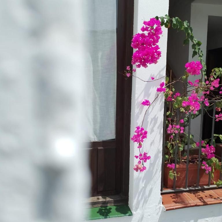 Claustro Home Casco Histórico Córdoba - Apartamento de 2 dormitorios - 2