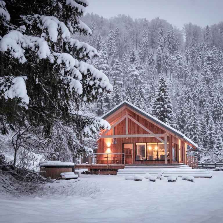 NaturparkResort Lausernest - Haus mit 4 Schlafzimmern - 2