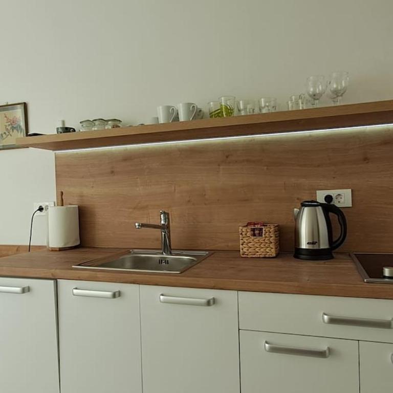 Cozy at prime location above Ferhadija Street - Apartman sa 1 Spavaćom Sobom - 30