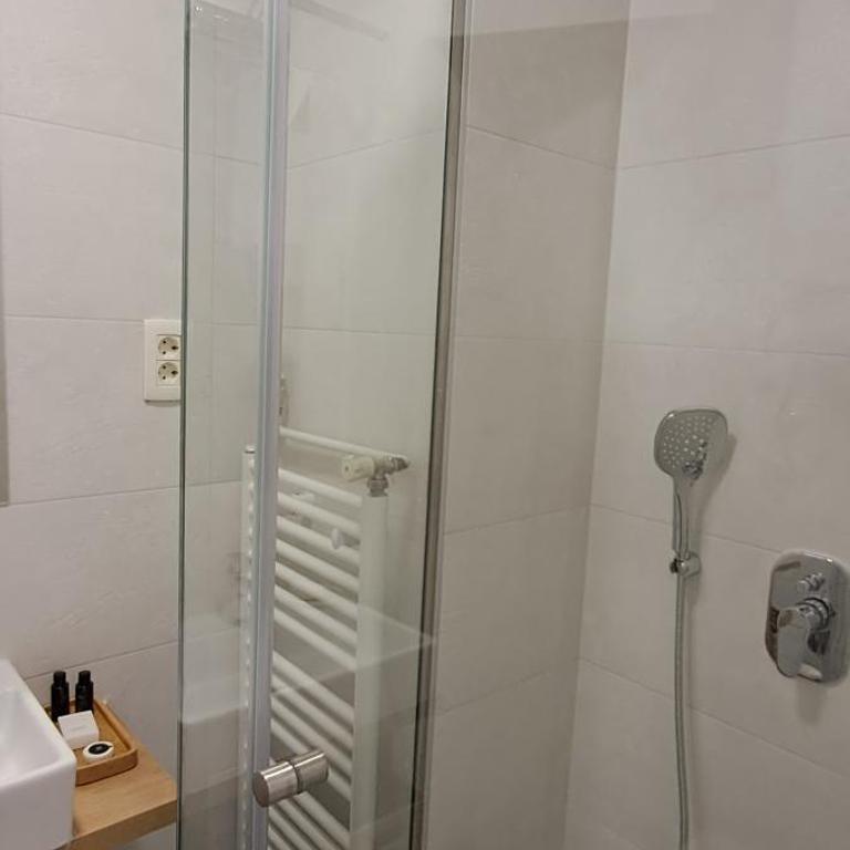 Cozy at prime location above Ferhadija Street - Apartman sa 1 Spavaćom Sobom - 50