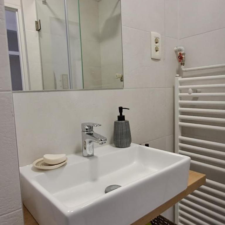 Cozy at prime location above Ferhadija Street - Apartman sa 1 Spavaćom Sobom - 69