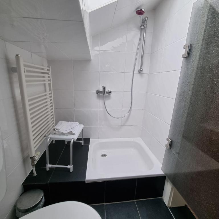 Haus Kreuzeckwiese - Self Catering Apartments - Studio mit Bergblick - 13
