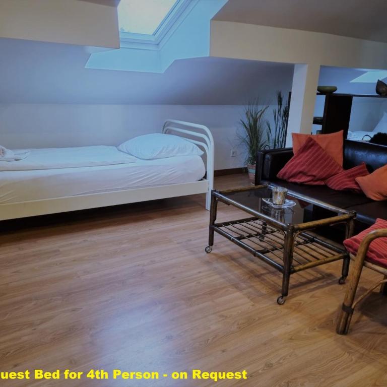 Haus Kreuzeckwiese - Self Catering Apartments - Studio mit Bergblick - 15