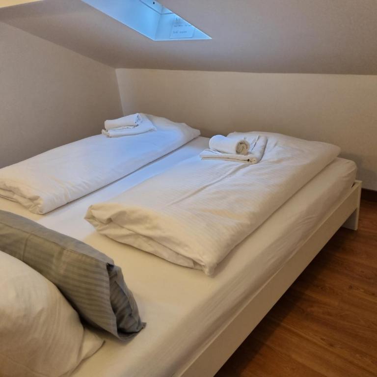 Haus Kreuzeckwiese - Self Catering Apartments - Studio mit Bergblick - 20