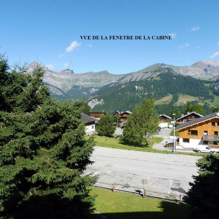 Appartement à Crest-Voland près des pistes avec garage - Appartement 1 Chambre - 12