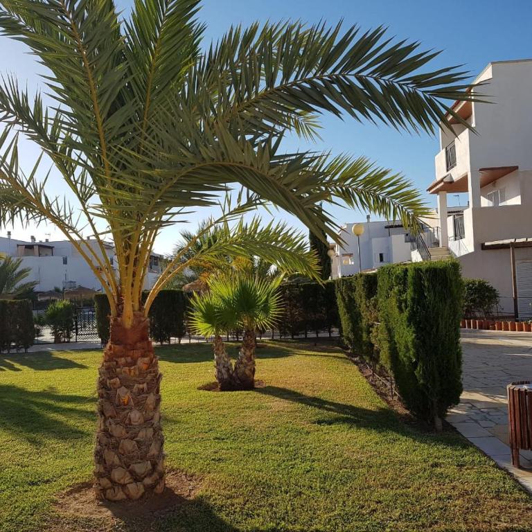 Casa baja naturista con palmeras y patio! - Apartamento de 1 dormitorio - 8