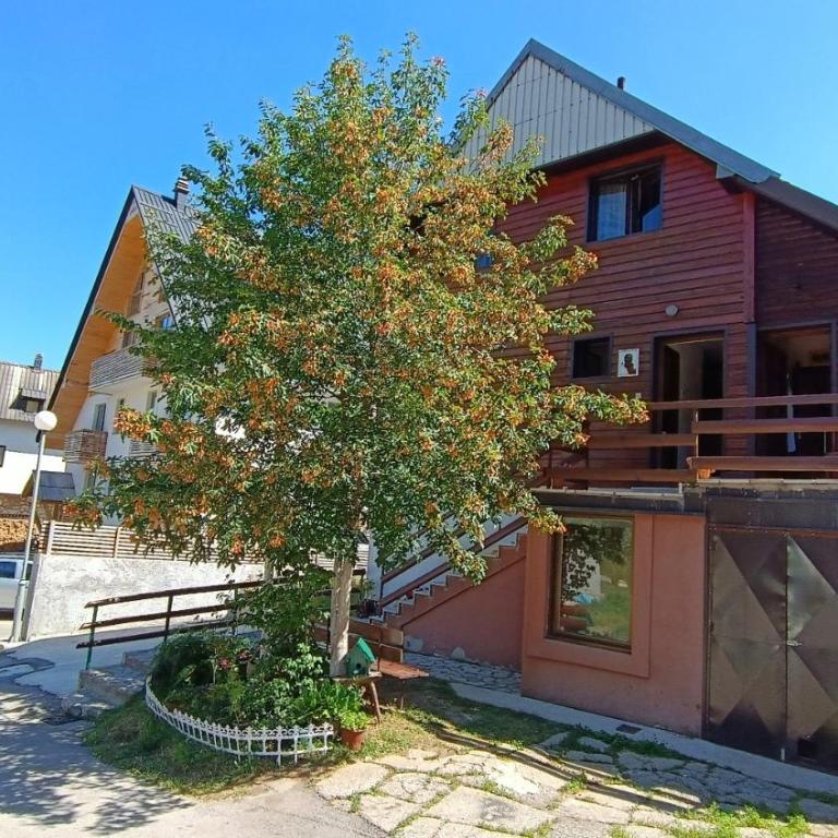 Apartments Sipcic - Studio Apartment - 2
